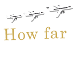 How far will your points take you?